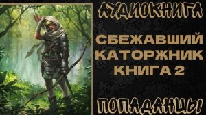 АУДИОКНИГА ПОПАДАНЦЫ: СБЕЖАВШИЙ КАТОРЖНИК. КНИГА 2