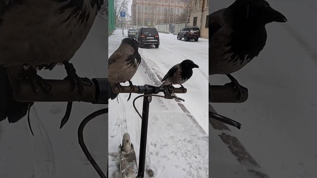 перекус смотреть онлайн