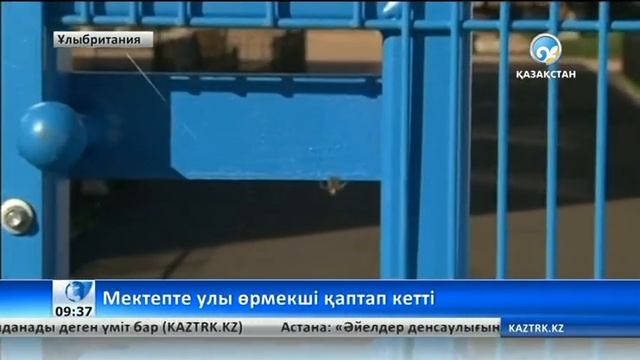 Мектепті улы өрмекшілер басып алды смотреть онлайн
