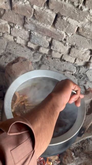 Cooking Pure Punjabi Desi Wild Duck #shorts #cooking смотреть онлайн