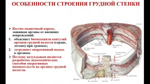 ОБЗОР ЛИТЕРАТУРЫ: Грудь - топографическая анатомия и оперативная хирургия