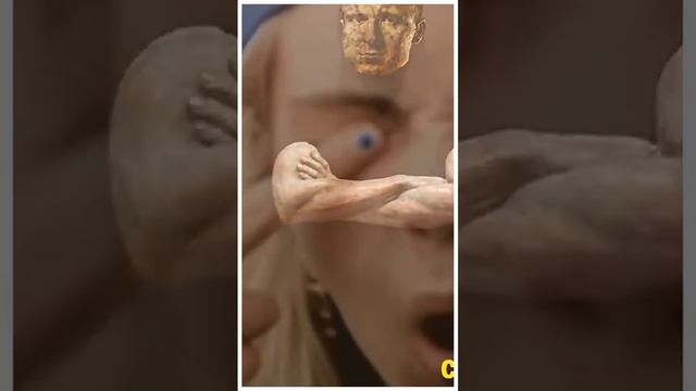 "Фаза" Михаила Радуги - "вирус идиотизма существует!" смотреть онлайн