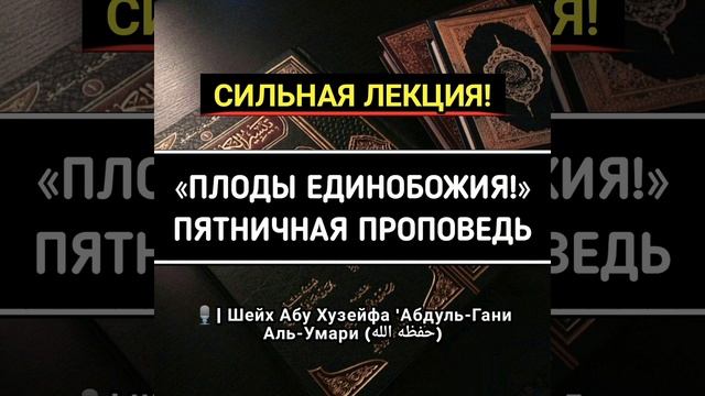 «ПЛОДЫ ЕДИНОБОЖИЯ!». Пятничная проповедь. 🎙️| Шейх Абу Хузейфа 'Абдуль-Гани Аль-Умари смотреть онлайн