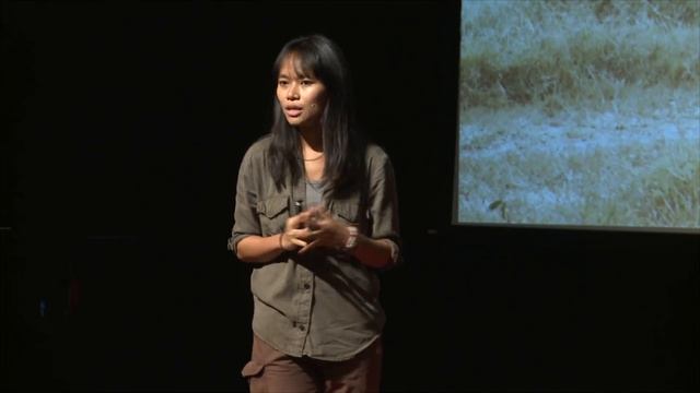Last of the wild | Trang Nguyen | TEDxHanoi смотреть онлайн