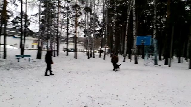 Рем смотреть онлайн