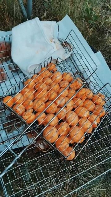 Уха и Стейки из Форели на Большой Горе "Шихан" смотреть онлайн