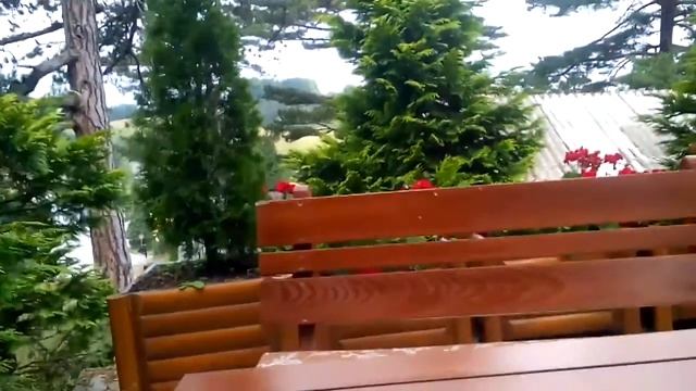 LPS-Kasno obavestenje: na Tari sam смотреть онлайн