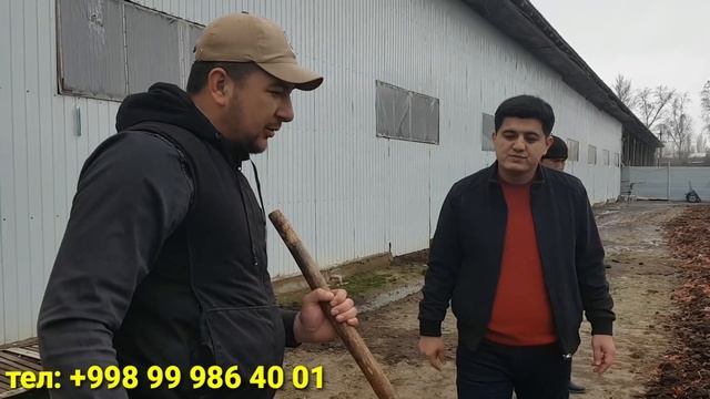 БИР ЙИЛДА КАТТА ДАРОМАД КЕЛТИРУВЧИ БИЗНЕС смотреть онлайн