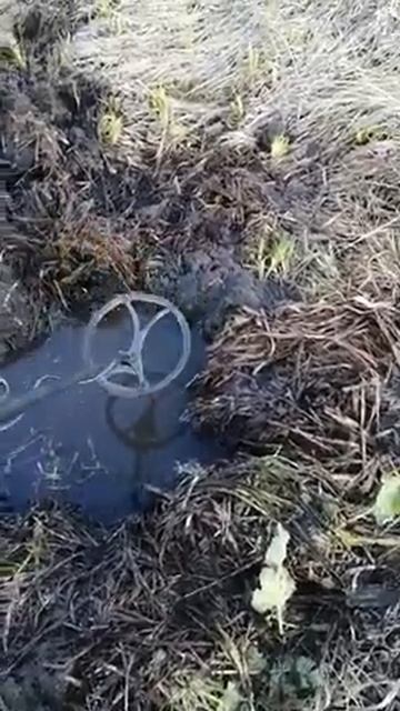 Металлоискатель Ultrascan новая находка смотреть онлайн