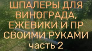 Недорогие шпалеры для винограда, ежевики и малины своими руками.  Часть 2