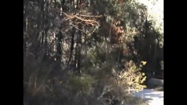 Mark Hunt Strength & Conditioning Training