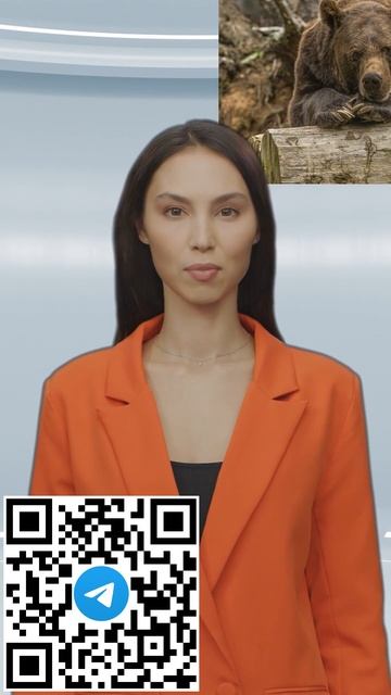 Минус две коровы: под Новосибирском ликвидирован медведь-скотинник #shorts смотреть онлайн