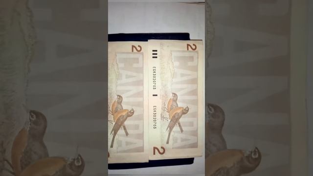 2$ Канада 1986 смотреть онлайн