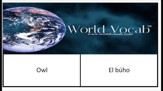 Owl - El búho смотреть онлайн