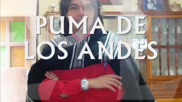 PUMA DE LOS ANDES - UN ROSARIO PARA MAMA - MARINERA смотреть онлайн