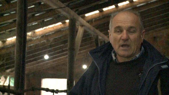 REČ POLJOPRIVREDNIKA - MIKADO šampion silaže - Milovan Jakovljević, Orašac смотреть онлайн