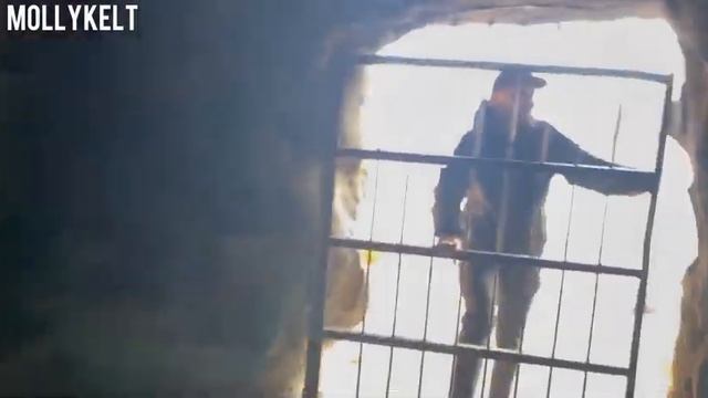 путешествие в пещерный город смотреть онлайн
