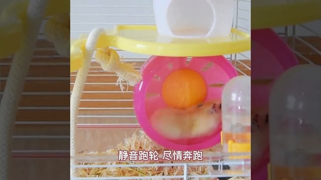 Hamster cage смотреть онлайн