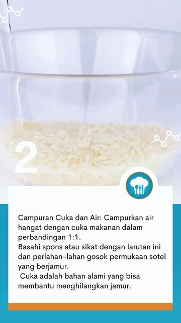 Sotel Dapur Berjamur. Bahaya Nggak Sih?. #alatdapur #sotel смотреть онлайн