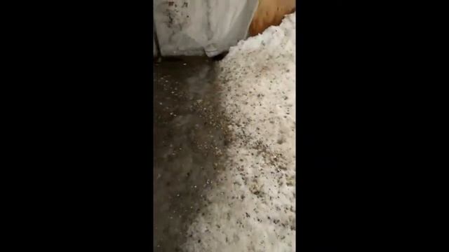 (ЧАСТЬ 2) Андижанские голуби Голуби Тимура Сайфуллина (Иваново) узбекские голуби смотреть онлайн