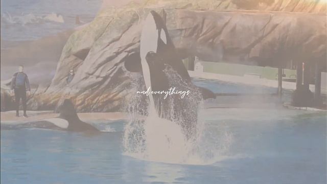 the gift of a friend [] happy birthday, orkid! смотреть онлайн