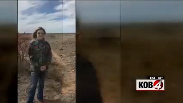 KOB on Conservative Outsider Claire Chase's Red Flag Video смотреть онлайн
