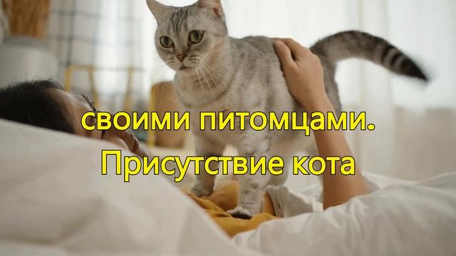 Вот преимущества сна с вашим котом! смотреть онлайн