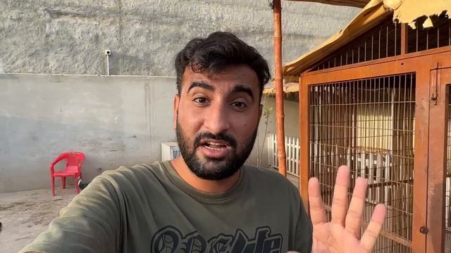 Rabbits k Ghr Ki khudai Kr di Aj Babies Dekhne k lye😅 смотреть онлайн