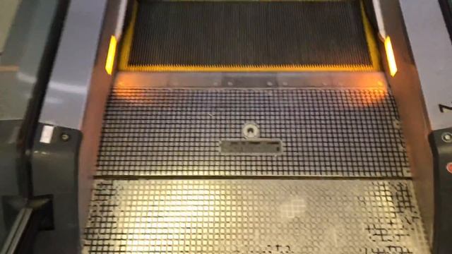 Schindler 9300AE escalators @ Island East Sports Centre in Sai Wan Ho, Hong Kong смотреть онлайн