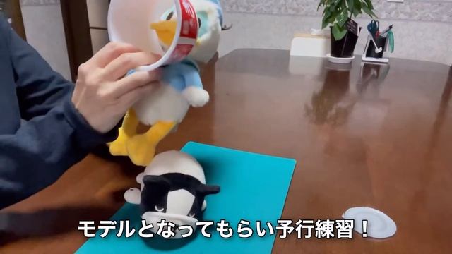 【猫ちゃん手作りエリザベスカラー】今話題の宇宙服⁈ смотреть онлайн
