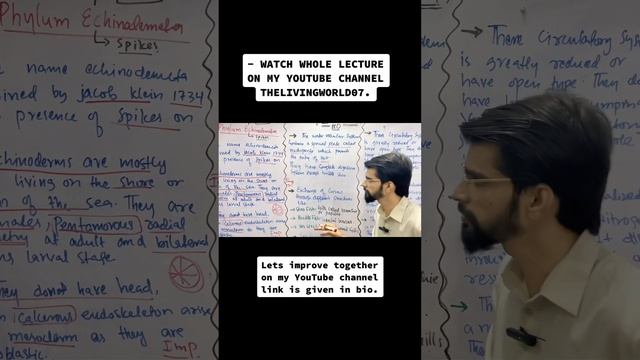 Echinodermata. #mdcat #biology #neet #reels #youtubeshorts #foryou #viral #starfish #seaurchin #bi смотреть онлайн