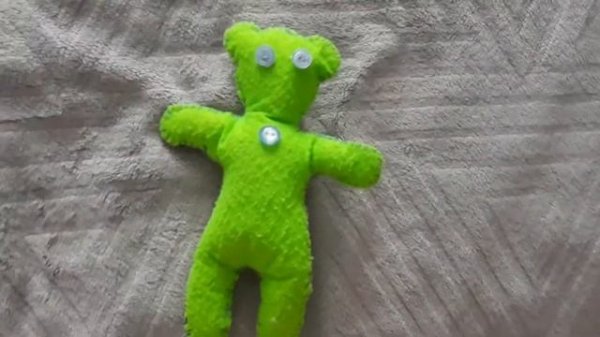 СЕКРЕТНАЯ КНИГА И МЕДВЕДЬ ТИМОН