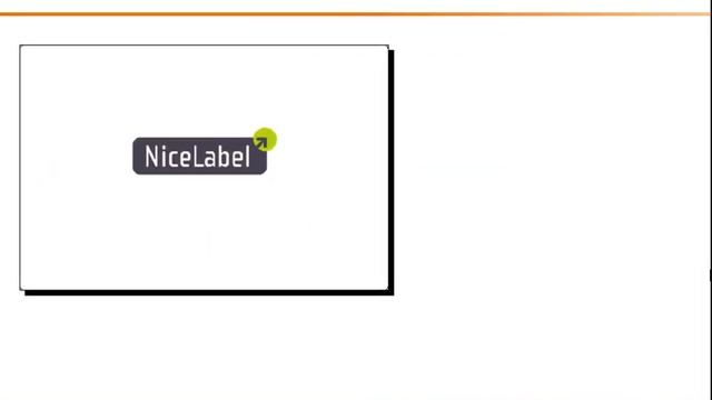 Increase Label Printing Speeds with NiceLabel смотреть онлайн