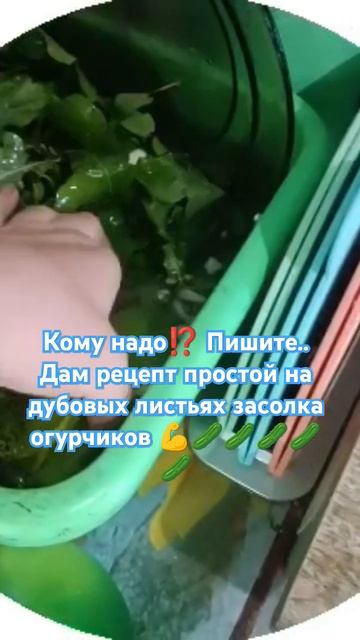 #засолкаогурчиков #надубовыхлистьях #суперсвета #мотивациянауспех смотреть онлайн