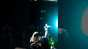 ATL-архитектор муравей