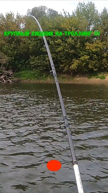 Ловля ТРОФЕЙНЫХ ЩУК на реке ДЕСНА ! смотреть онлайн