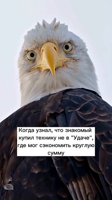 Полный каталог товаров на нашем сайте смотреть онлайн