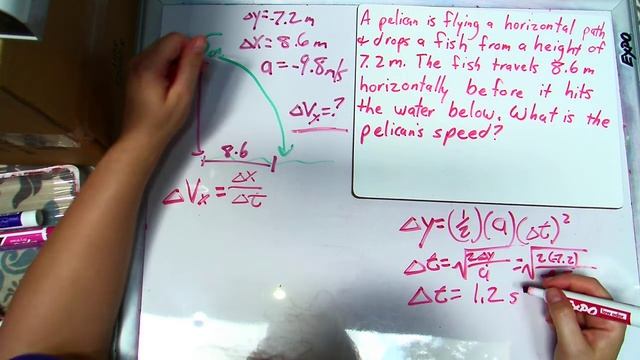 Science in Pajamas - Projectile Motion Practice смотреть онлайн