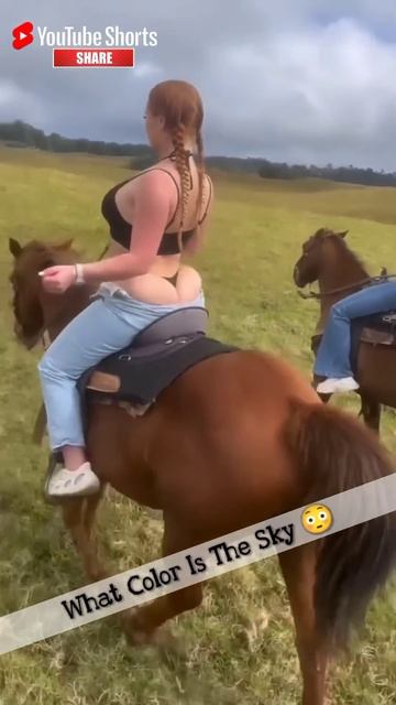 what Color Is The Sky❓ смотреть онлайн