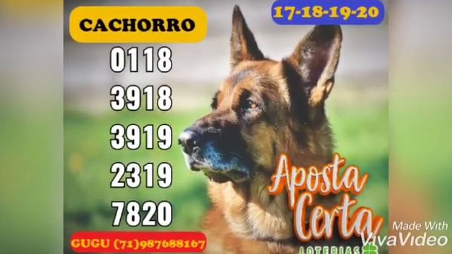 PALPITES DO GUGU BANCA APOSTA CERTA - 23/09/2020 смотреть онлайн