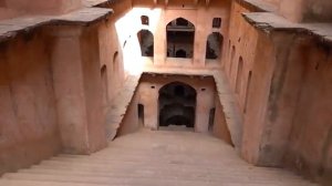 Как местные спасали меня от тигров, неудачная ночёвка в Индийском буше. часть 2