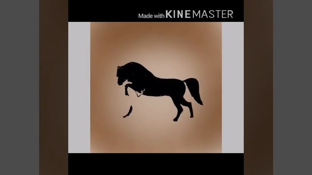 Арабские лошади 💖 | ночной выпуск) смотреть онлайн