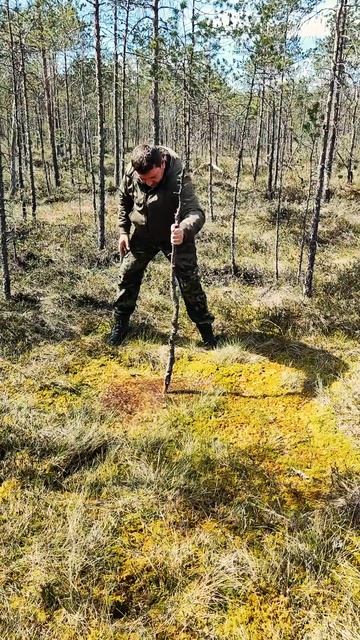 Мочажина. Опасное место на болоте. #hunting #рыбалка #лес смотреть онлайн