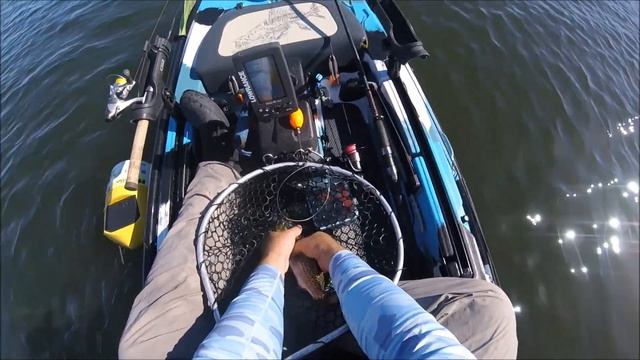 Kayak Fishing Fred Howard Park Tarpon Springs, Florida смотреть онлайн