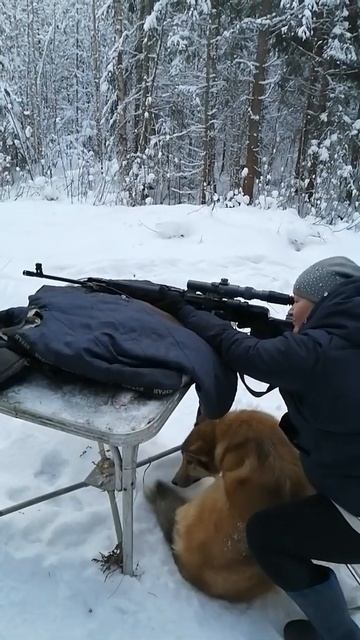 Пристрелеваем свд 7.62.54(тигр) смотреть онлайн