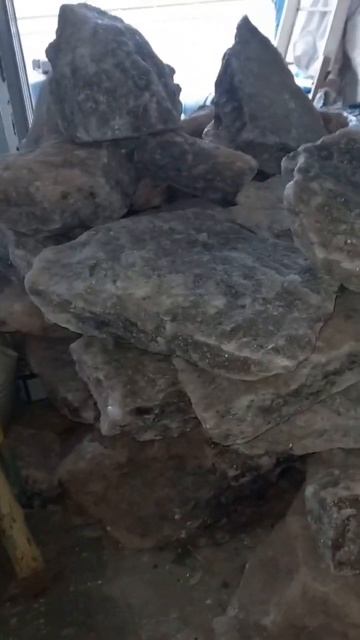 الملحة الحية للعجول смотреть онлайн