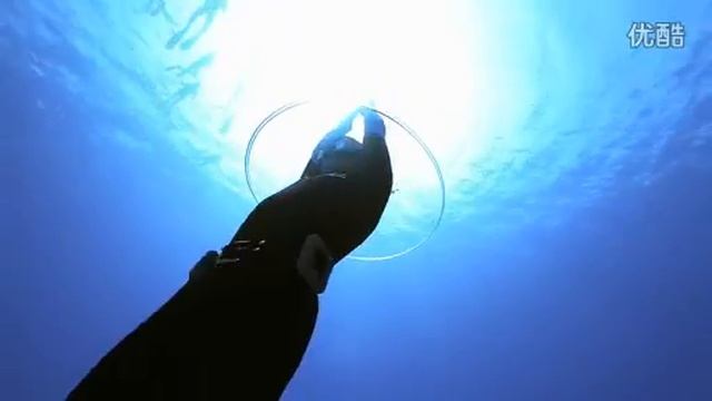 Dancing with Sharks смотреть онлайн