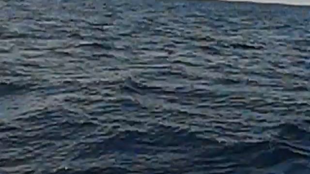 Portugal-Algarve Monster Blue Marlin Fishing смотреть онлайн