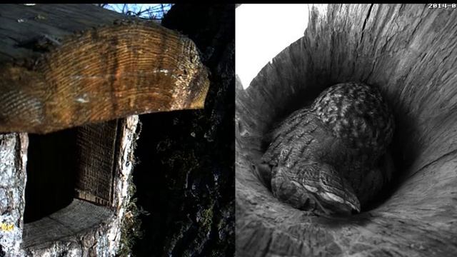 Запись 2014 03 29 08 56 18 287 смотреть онлайн