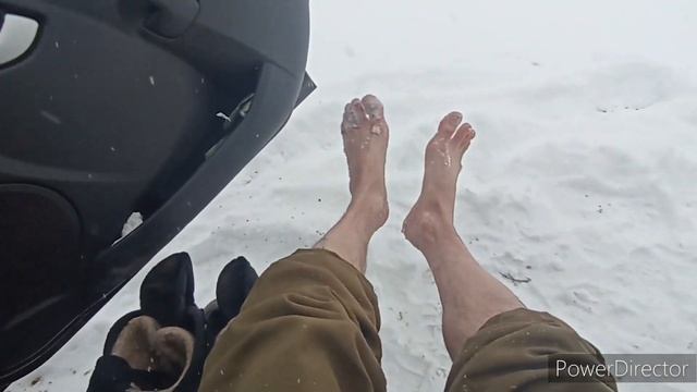 ДЕНЬ МОРЖА))) смотреть онлайн